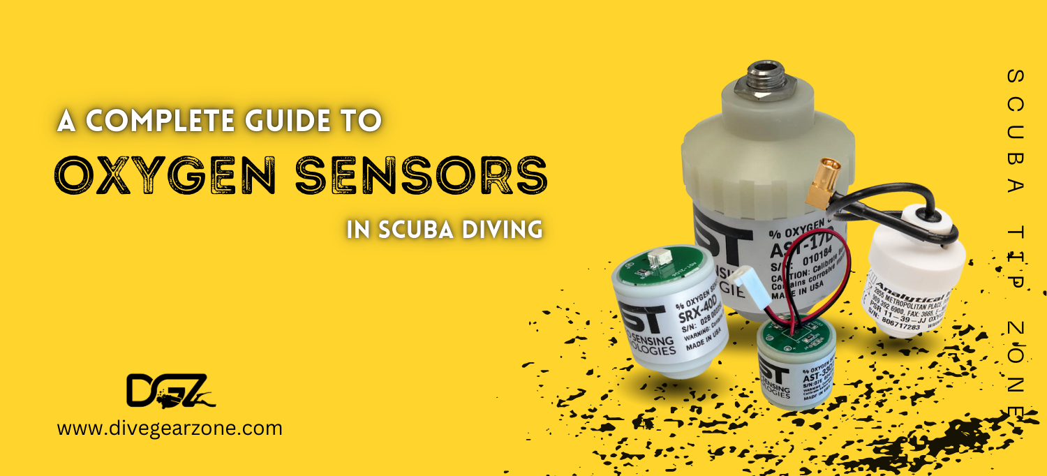 A Complete Guide to Oxygen Sensors in Scuba Diving – DIVE GEAR ZONE