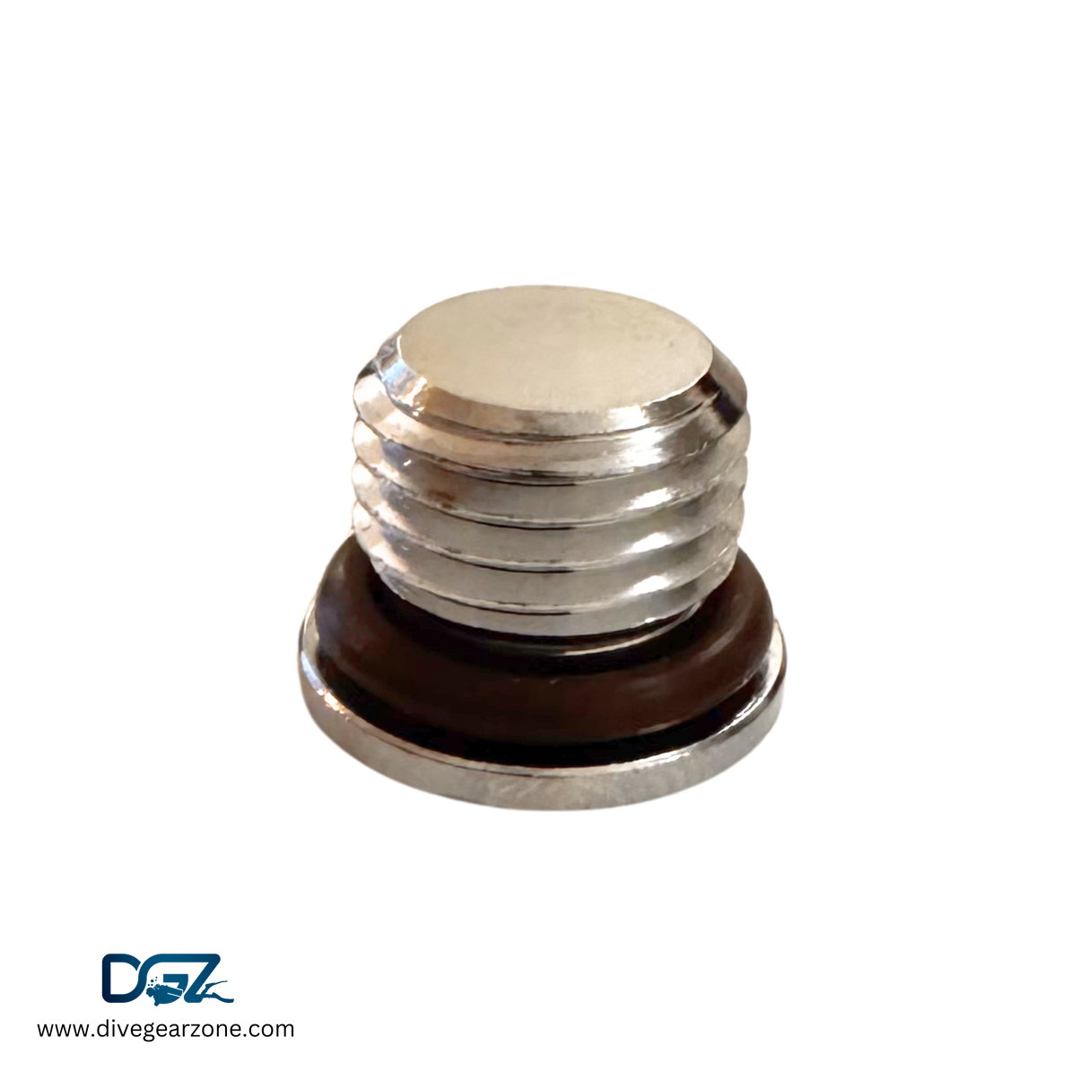 Regulator Port Plugs