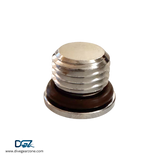 Regulator Port Plugs