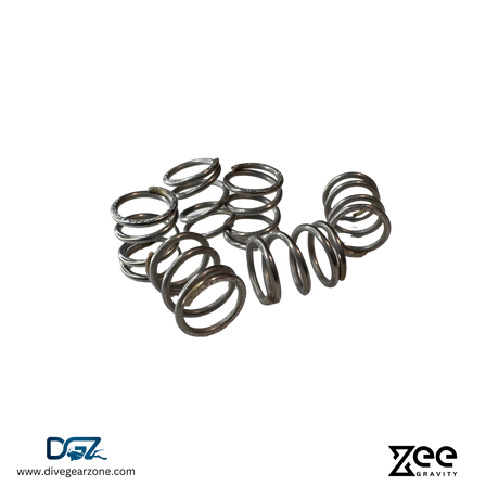 Zee Gravity Valve Spring